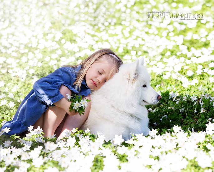 Hvit hund og en bestevenn